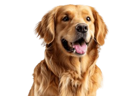 Buster